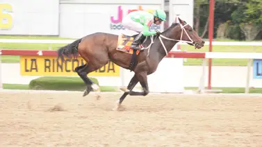 Esta pupila de Juan Carlos García Mosquera retorna a la acción de La Rinconada tras 41 días sin correr Esta pupila de Juan Carlos García Mosquera retorna a la acción de La Rinconada tras 41 días sin correr