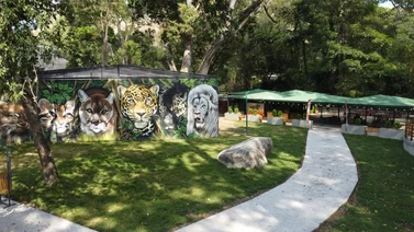 ¡Qué ternura! Estos son los nuevos miembros del Zoológico de Maracay (+Video)
