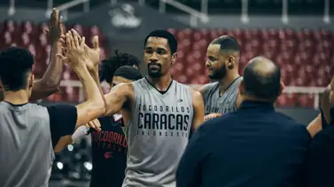 Cocodrilos de Caracas Cocodrilos de Caracas