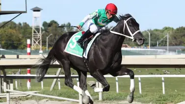 Jinete mexicano gana esta excelente carrera en la segunda de Parx Racing Jinete mexicano gana esta excelente carrera en la segunda de Parx Racing