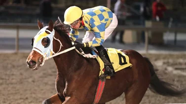 Jockey venezolano queda a una victoria de esta importante cifra en Estados Unidos