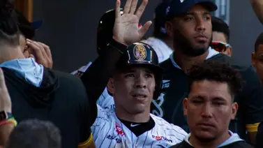 LVBP: ¿Cómo resguardarán los Leones del Caracas a Freddy Fermín? Esto dice José Alguacil LVBP: ¿Cómo resguardarán los Leones del Caracas a Freddy Fermín? Esto dice José Alguacil