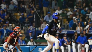 LIDOM: Estos son los resultados de la jornada de este 28 de noviembre en Dominicana