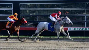 Entrenador venezolano arrasa este martes en República Dominicana Entrenador venezolano arrasa este martes en República Dominicana