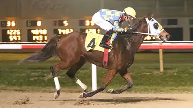 Mychel Sánchez se convierte en el primer venezolano en llegar a esta cifra de triunfos en 2023 Mychel Sánchez se convierte en el primer venezolano en llegar a esta cifra de triunfos en 2023