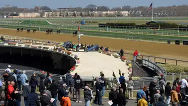 Estos son los inscritos para la Cigar Mile en Aqueduct Estos son los inscritos para la Cigar Mile en Aqueduct