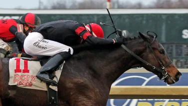 ¡De infarto! Mira la increíble carrera que gana este jinete puertorriqueño en Estados Unidos