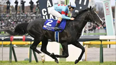 El mejor caballo del mundo no va a competir más y esta será su nueva vida El mejor caballo del mundo no va a competir más y esta será su nueva vida