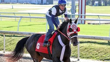 Richard Bracho el más destacado este miércoles en este hipódromo de Estados Unidos