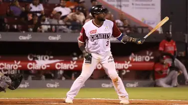 LIDOM: El dato más curioso de Gigantes del Cibao en una temporada líder LIDOM: El dato más curioso de Gigantes del Cibao en una temporada líder