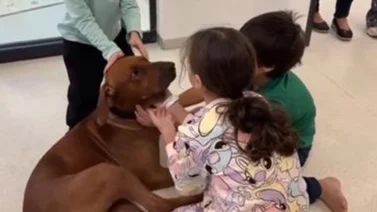 ¡Conmovedor! Tres niños israelíes se reencuentran con su mascota al ser liberados por Hamás (+Video)
