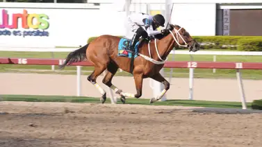 Mira el ajuste de la linea de Gaceta Hípica del 5y6 de la reunión 47 en La Rinconada Mira el ajuste de la linea de Gaceta Hípica del 5y6 de la reunión 47 en La Rinconada