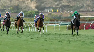 Nueve potros van por el Hollywood Derby este sábado en Del Mar Nueve potros van por el Hollywood Derby este sábado en Del Mar