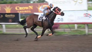 Serie Hípica 2023: Entérate del ejercicio del representante de Ecuador para la Confraternidad del Caribe Serie Hípica 2023: Entérate del ejercicio del representante de Ecuador para la Confraternidad del Caribe