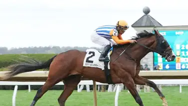 El hermano completo de Mage busca ganar puntos para el Kentucky Derby en esta carrera El hermano completo de Mage busca ganar puntos para el Kentucky Derby en esta carrera