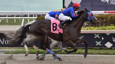 Jinete guatemalteco se luce en excelente conducción en Estados Unidos (+Video) Jinete guatemalteco se luce en excelente conducción en Estados Unidos (+Video)