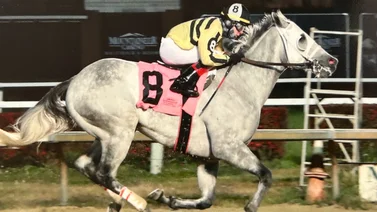 Jinete puertorriqueño logra doble triunfo en este importante hipódromo de Estados Unidos