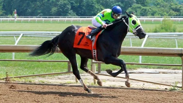 Jockey José Armando Bracho está a una victoria de lograr esta importante cifra en Estados Unidos