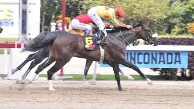 Chiefsttar queda listo para participar en la reunión 47 con este ajuste  Chiefsttar queda listo para participar en la reunión 47 con este ajuste