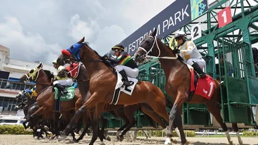 Apuesta el hipismo internacional en MeridianoBet