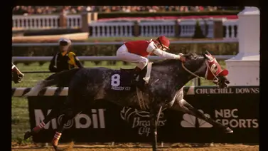 Ganadores de la Breeders’ Cup Classic que han dado hijos ganadores de la Breeders Ganadores de la Breeders’ Cup Classic que han dado hijos ganadores de la Breeders