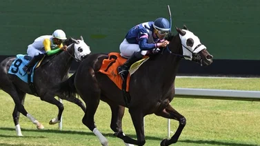 Leonel Reyes abre con victoria en Gulfstream Park y se acerca a los 100 triunfos