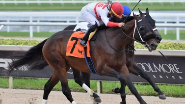 Rueda Edgar "Tendón" Pérez en Gulfstream Park y esta es su condición