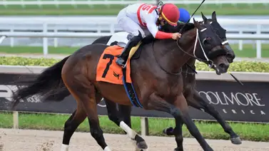 Rueda Edgar "Tendón" Pérez en Gulfstream Park y esta es su condición Rueda Edgar "Tendón" Pérez en Gulfstream Park y esta es su condición