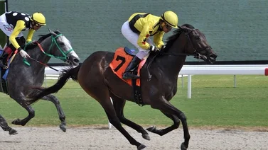 Richard Bracho gana con su única monta del día en Gulfstream Park
