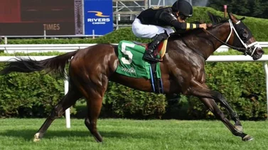 José Francisco D´Angelo gana la primera selectiva en reunión de las Breeders´Cup
