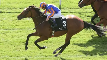 Lake Victoria se anota el triunfo en la Breeders' Cup Juvenile Fillies Turf (G1) Lake Victoria se anota el triunfo en la Breeders' Cup Juvenile Fillies Turf (G1)