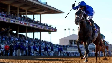 Breeders' Cup: Immersive con el puertorriqueño Manuel Franco responde en la Juvenile Fillies