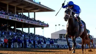 Breeders' Cup: Immersive con el puertorriqueño Manuel Franco responde en la Juvenile Fillies Breeders' Cup: Immersive con el puertorriqueño Manuel Franco responde en la Juvenile Fillies