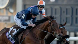 Henri Matisse ganó en gran atropellada la Breeders' Cup Juvenile Turf (G1)