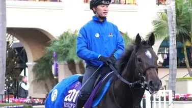 Retirada la principal enemiga de Thorpedo Anna en la Breeders'Cup Distaff Retirada la principal enemiga de Thorpedo Anna en la Breeders'Cup Distaff