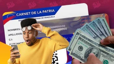bonos sistema patria