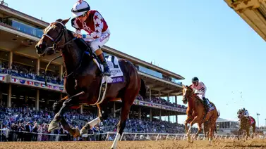 Thorpedo Anna se consagró de punta a punta en la Breeders´Cup Distaff (G1) Thorpedo Anna se consagró de punta a punta en la Breeders´Cup Distaff (G1)