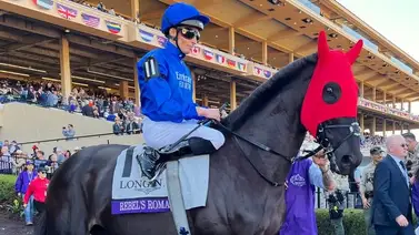 Rebel´s Romance gana por segunda vez la Breeders’ Cup Turf de $5.000.000 Rebel´s Romance gana por segunda vez la Breeders’ Cup Turf de $5.000.000