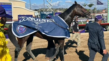 Sierra Leone brilló en la Breeders' Cup Classic (G1) de $7.000.000 en Del Mar
