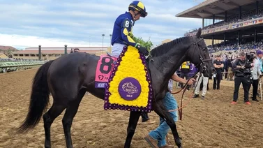 More Than Looks voló en los finales y sorprendió en la Breeders' Cup Mile (G1)