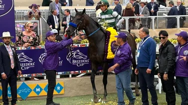 El caballo argentino Full Serrano le da a latinoamérica el triunfo en la Breeders´Cup Dirt Mile (G1)