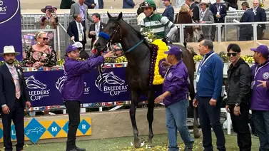 El caballo argentino Full Serrano le da a latinoamérica el triunfo en la Breeders´Cup Dirt Mile (G1) El caballo argentino Full Serrano le da a latinoamérica el triunfo en la Breeders´Cup Dirt Mile (G1)