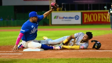 LIDOM: Juegos para este domingo 3 de noviembre en la liga dominicana