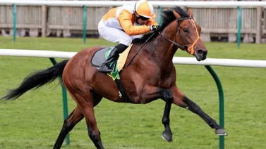 Potro ganador clásico muere de aparente infarto luego de llegar a la meta en las Breeders´Cup