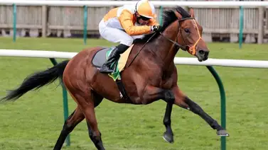 Potro ganador clásico muere de aparente infarto luego de llegar a la meta en las Breeders´Cup Potro ganador clásico muere de aparente infarto luego de llegar a la meta en las Breeders´Cup