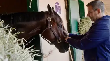 Repole dio a conocer cuál será el destino de Fierceness en el 2025 Repole dio a conocer cuál será el destino de Fierceness en el 2025