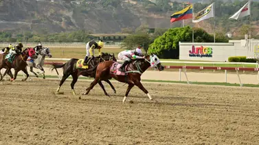 Son 3 los jockeys que fueron multados por esta razón en La Rinconada Son 3 los jockeys que fueron multados por esta razón en La Rinconada