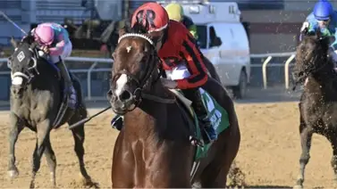 Junior Alvarado cierra el meeting de Belmont At The Big A con un Stakes Junior Alvarado cierra el meeting de Belmont At The Big A con un Stakes