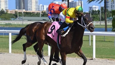 Sonny León con tres victorias el fin de semana en Gulfstream Park