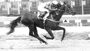 Hoy se cumple 24 años de la victoria número 2.000 de ese gran fusta venezolano Ángel Francisco Parra Hoy se cumple 24 años de la victoria número 2.000 de ese gran fusta venezolano Ángel Francisco Parra